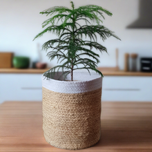 Load image into Gallery viewer, Jute & White- Planter Pots/Storage Basket