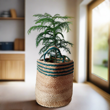 Load image into Gallery viewer, Jute & Green - Planter Pots/Storage Basket