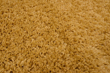 Load image into Gallery viewer, Close-up of a textured brown carpet