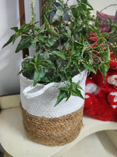 Load image into Gallery viewer, Jute & White Cotton - Planter Pots/Storage Basket