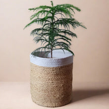 Load image into Gallery viewer, Jute & White- Planter Pots/Storage Basket