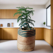 Load image into Gallery viewer, Jute & Green - Planter Pots/Storage Basket