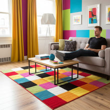Load image into Gallery viewer, Rainbow Color Multi Box Collection Modern Shag Rug
